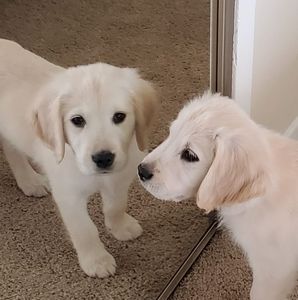 Meet your Posher, Lisa-marie